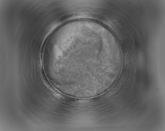 X0000056341274200509091521