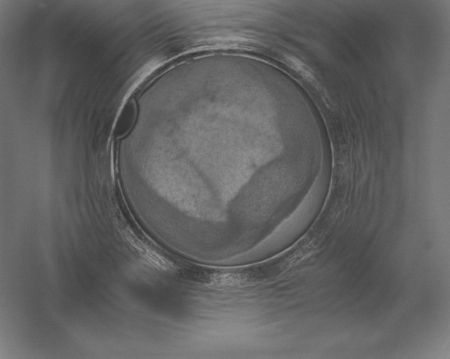 X0000056341275200509091521