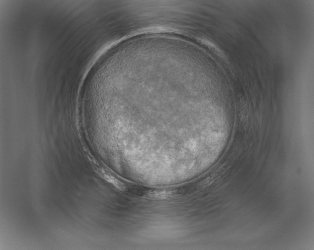 X0000056341278200509091521