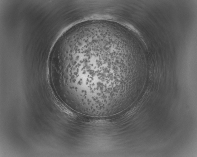 X0000056341280200509091520