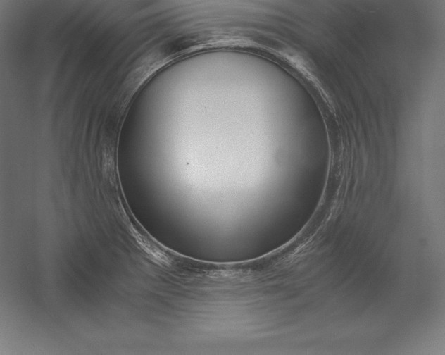 X0000056341281200509091520