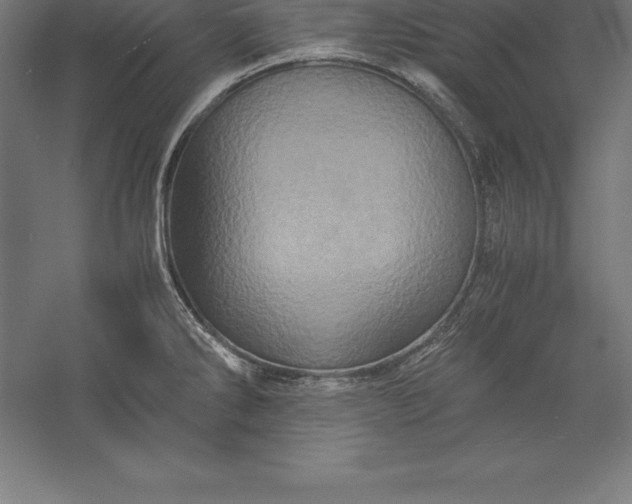 X0000056341286200509091520