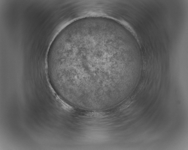 X0000056341287200509091520