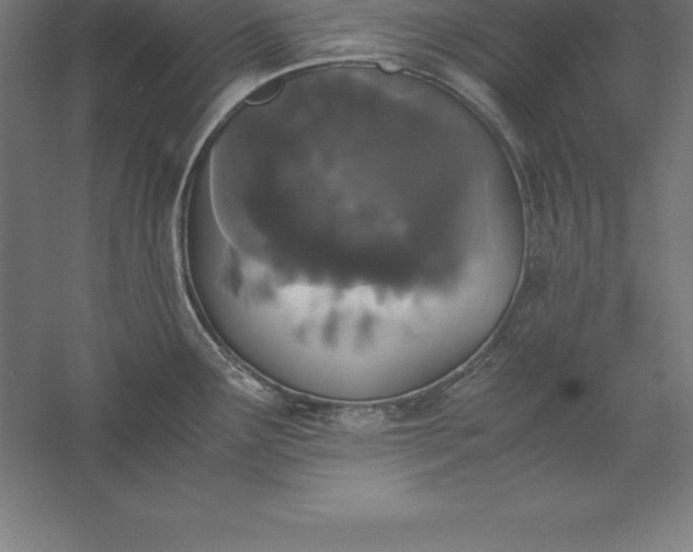 X0000056341291200509091520