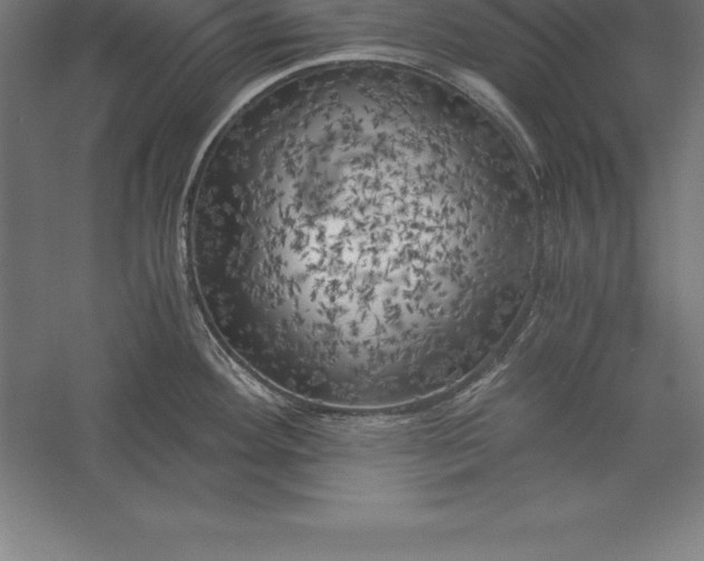X0000056341292200509091520