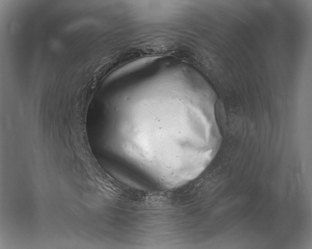X0000056341297200509091519