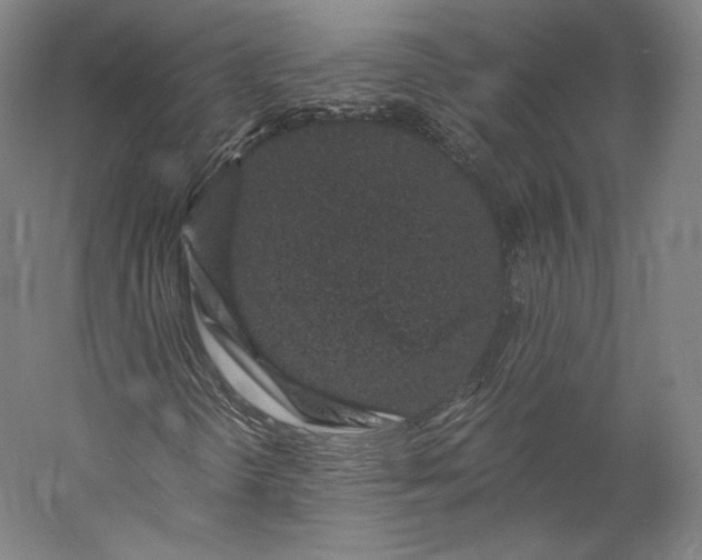 X0000056341298200509091519