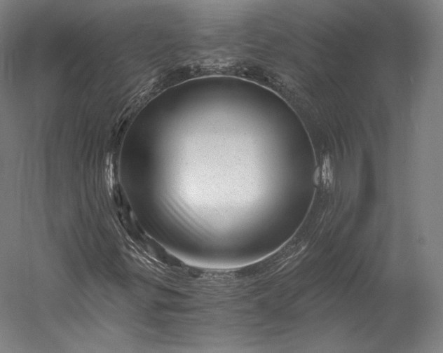 X0000056341299200509091519