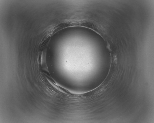 X0000056341300200509091519