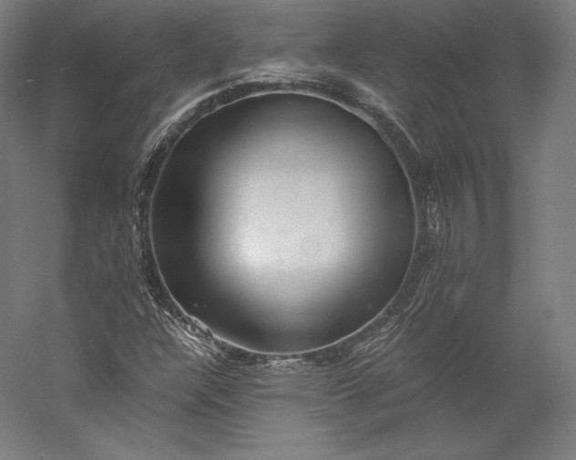 X0000056341304200509091519