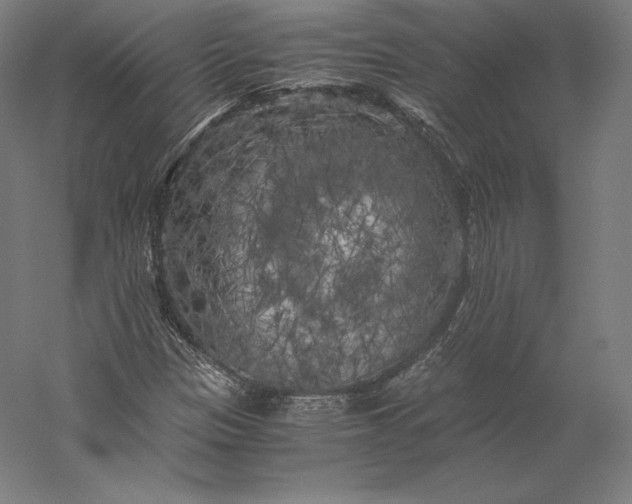 X0000056341305200509091520