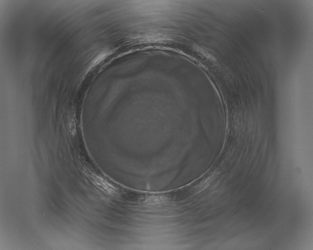 X0000056341306200509091520