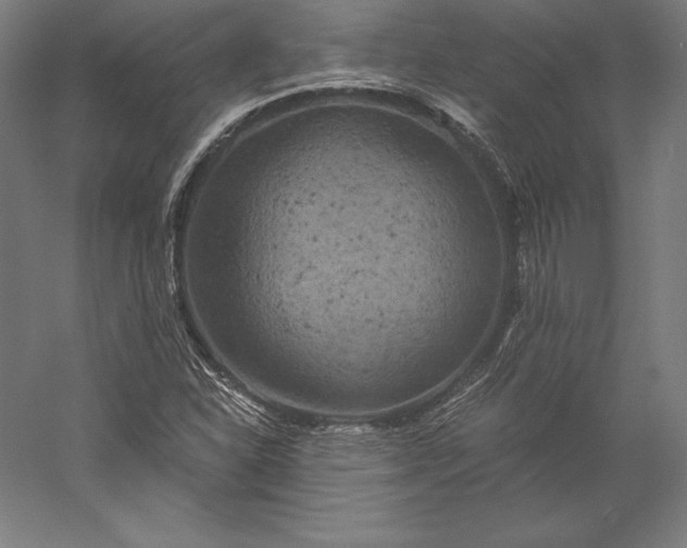 X0000056341310200509091520