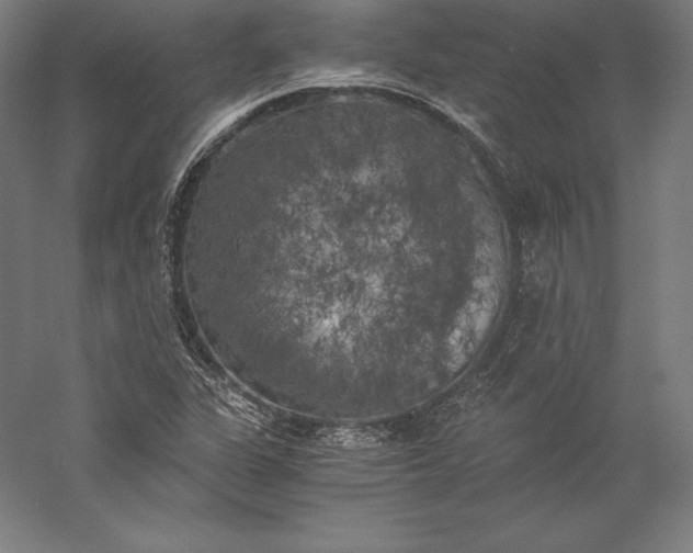 X0000056341311200509091520