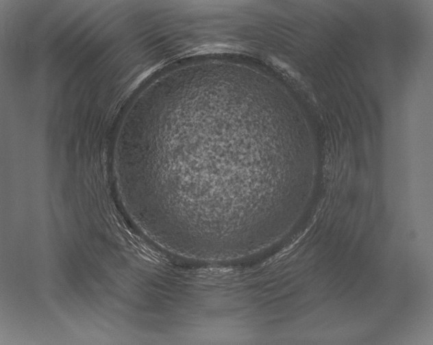 X0000056341313200509091520