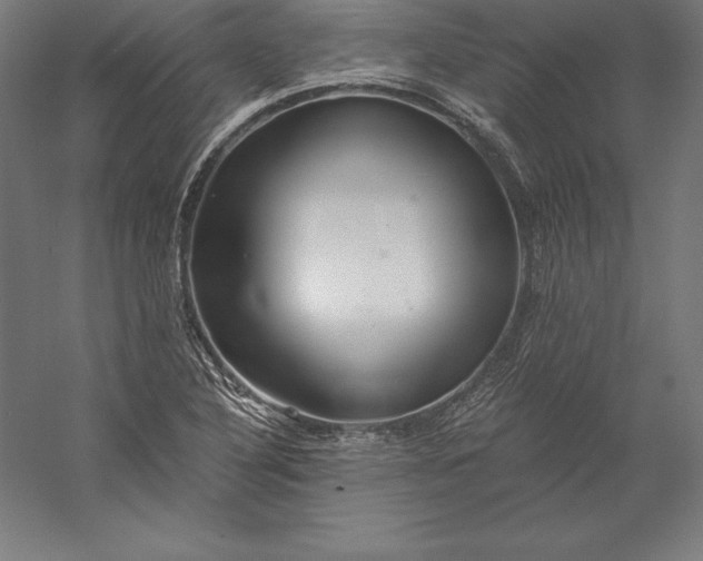 X0000056341316200509091520
