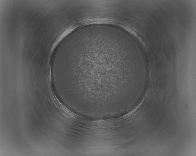 X0000056341317200509091520