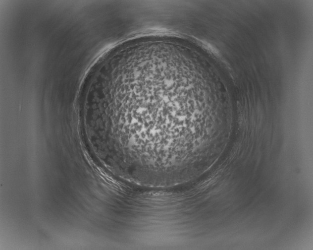 X0000056341318200509091520