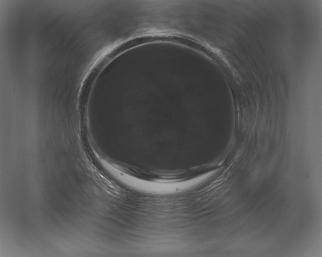 X0000056341319200509091520