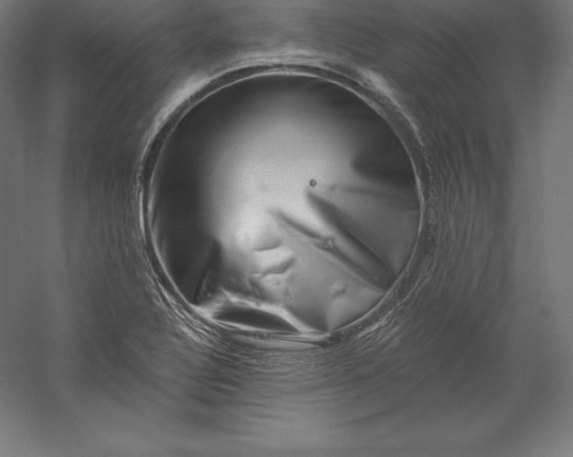 X0000056341320200509091520