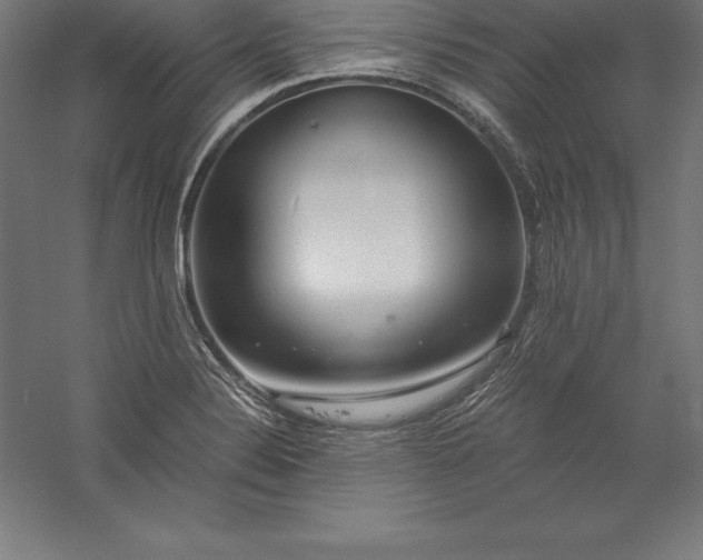 X0000056341324200509091520