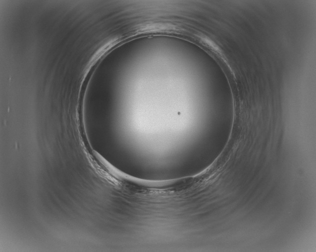 X0000056341330200509091520