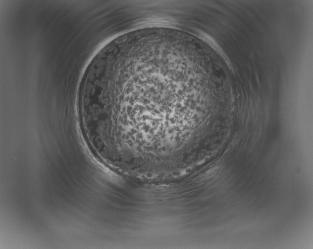 X0000056341339200509091520