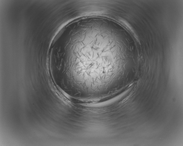 X0000056341340200509091520
