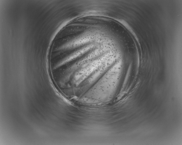 X0000056341341200509091520