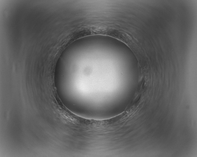X0000056341345200509091519