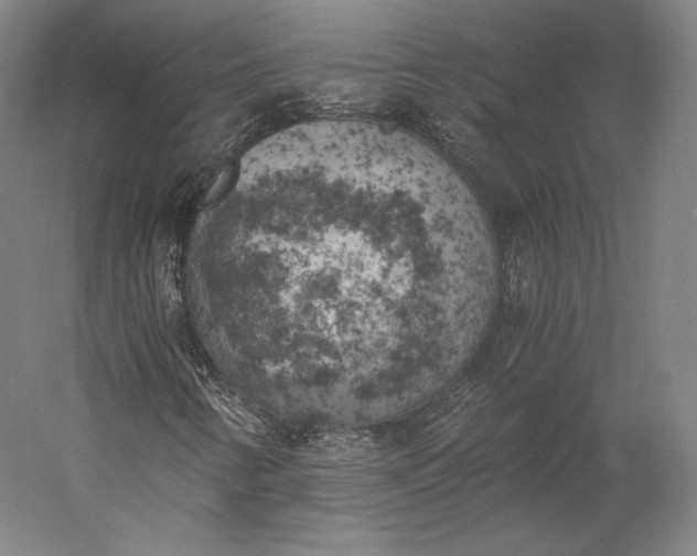 X0000056341346200509091519