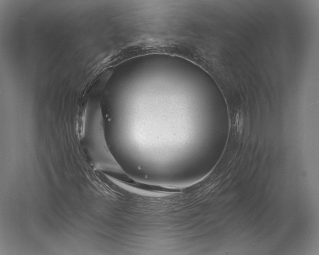 X0000056341348200509091519