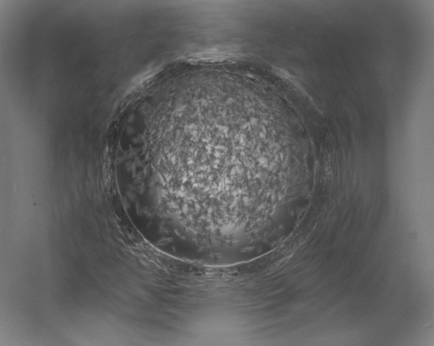 X0000056341350200509091519