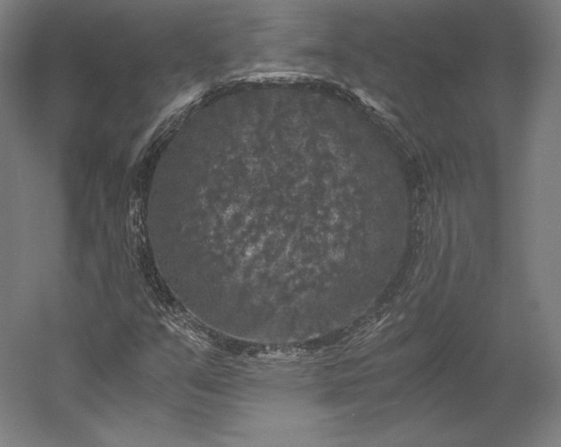 X0000056341351200509091519