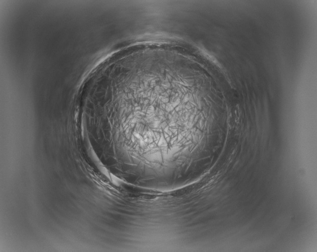 X0000056341352200509091519