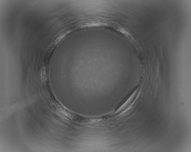 X0000056341353200509091519
