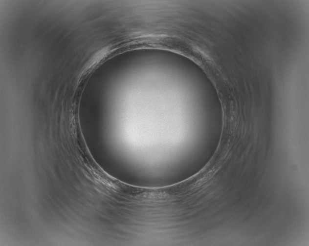 X0000056341354200509091519
