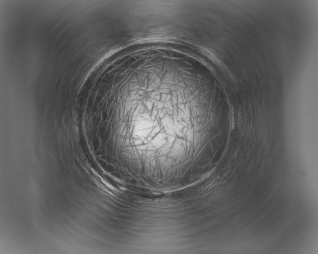 X0000056341356200509091519