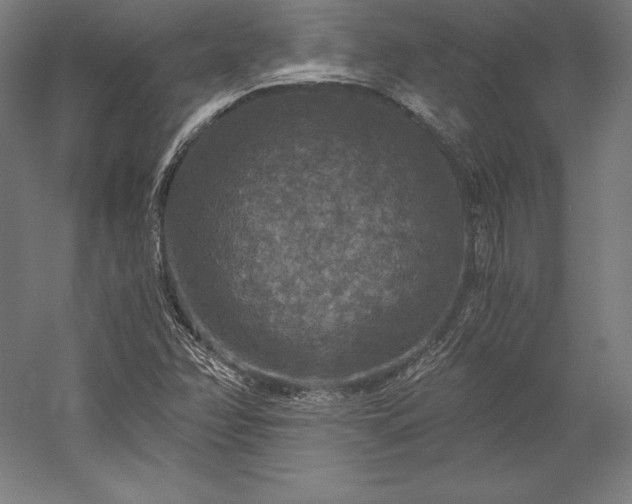 X0000056341358200509091519
