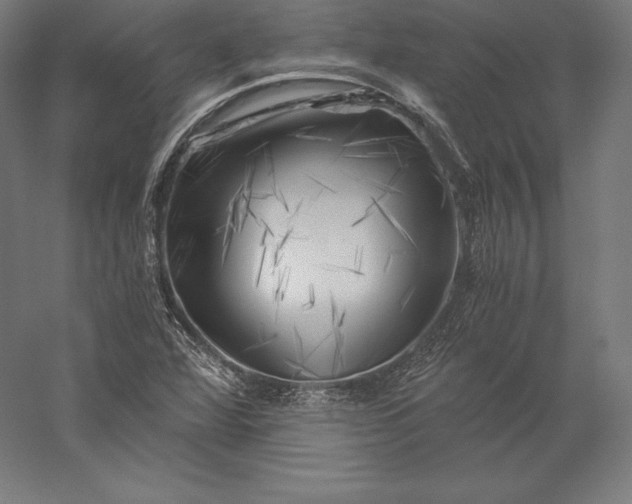 X0000056341360200509091519