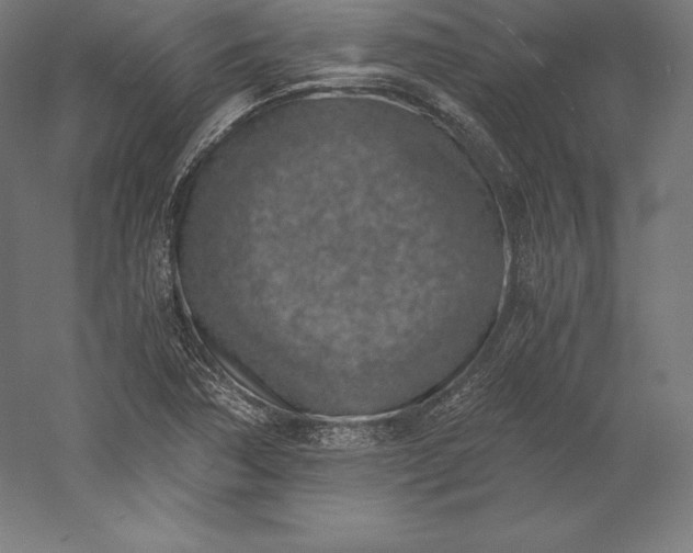 X0000056341362200509091519
