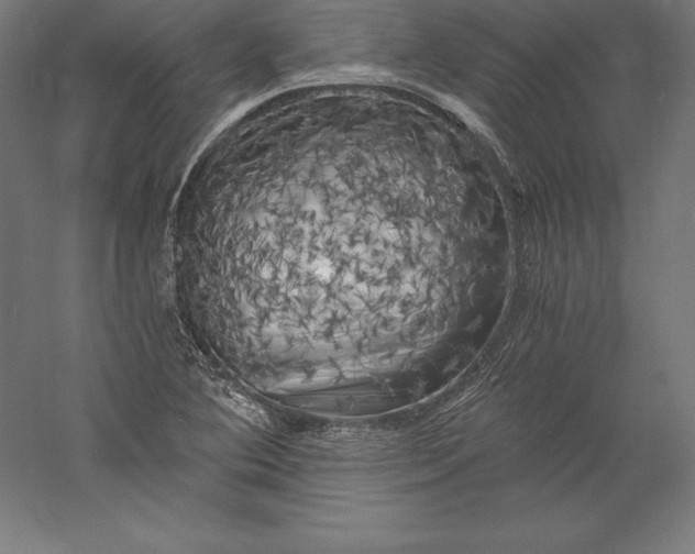 X0000056341364200509091519