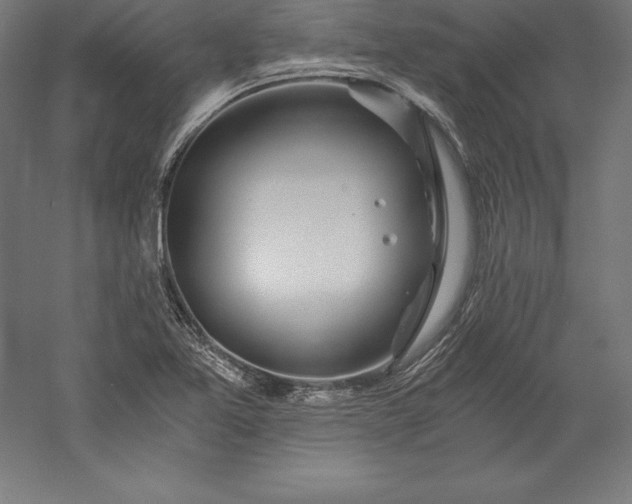 X0000056341365200509091519