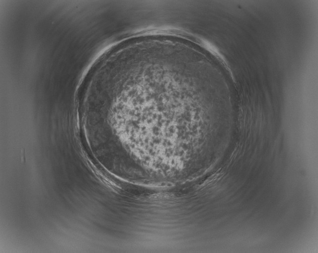 X0000056341368200509091519