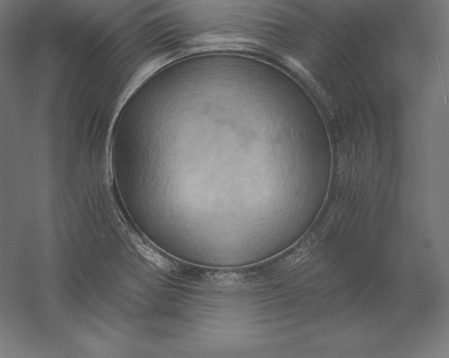 X0000056341370200509091519