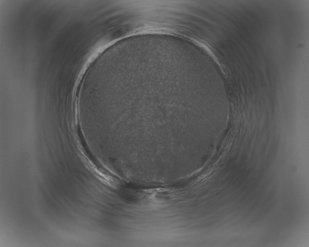 X0000056341371200509091519