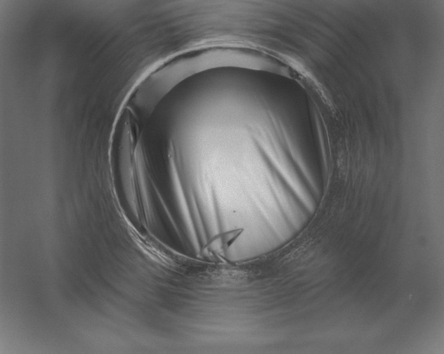 X0000056341372200509091519