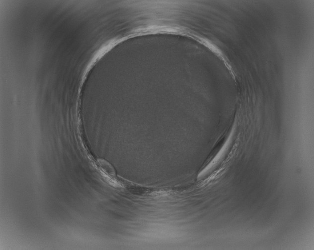 X0000056341373200509091519