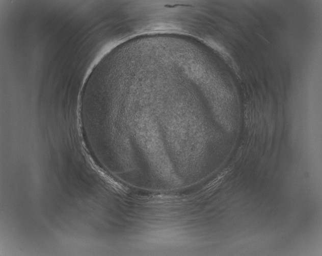 X0000056341374200509091519