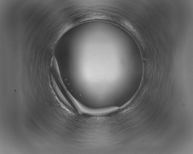 X0000056341377200509091519